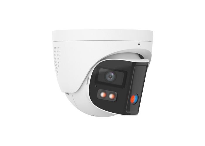 IP Cameras