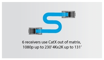 CatX 131 ICON