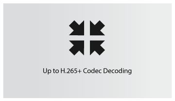 H.265 PLUS ICON
