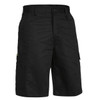 BSH1999blackfront.jpg BSH1999blackfront.jpg
