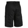 BSH1999blackbk.jpg BSH1999blackbk.jpg