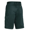 BSH1999greenbk.jpg BSH1999greenbk.jpg