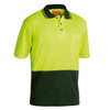 BK1234greenfront.jpg