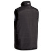 BV0328charcoalback.jpg