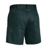 BSH1007botle-bakc.jpg