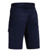 BSH1999navybk.jpg