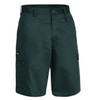 BSH1999greenfron.jpg