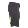 bshc1150-carch.jpg