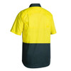BS1895yellowbk.jpg