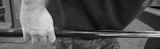 How to Hold a Pool Stick (the Right Way)
