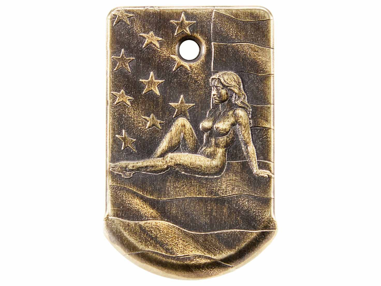 NDZ Sig Sauer P365, P365 XL, P365 SAS Slim Carry Magazine Plate