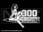 902 - 300 Blackout Pinup Girl