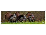 Cerus Gear Gun Mat Wild Turkey Wildlife Magnum Promat Full Color