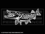 1702 - Northern Pike