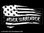 2117 - Never Surrender Dist Flag