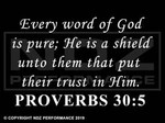 689 - Bible Proverbs 30:5