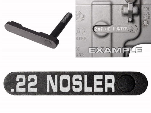 NDZ for AR-15 SW 15-22 Black Magazine Catch 22 NOSLER