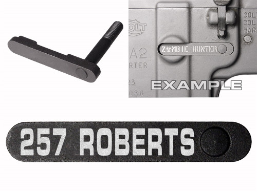 NDZ for AR-15 SW 15-22 Black Magazine Catch 257 ROBERTS