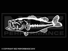 1703 - Largemouth Bass 2