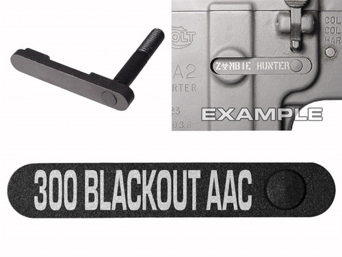 NDZ for AR-15 SW 15-22 Black Magazine Catch 300 AAC Blackout