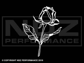392 - Rose Flower