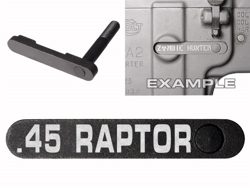 NDZ for AR-15 SW 15-22 Black Magazine Catch 45 RAPTOR