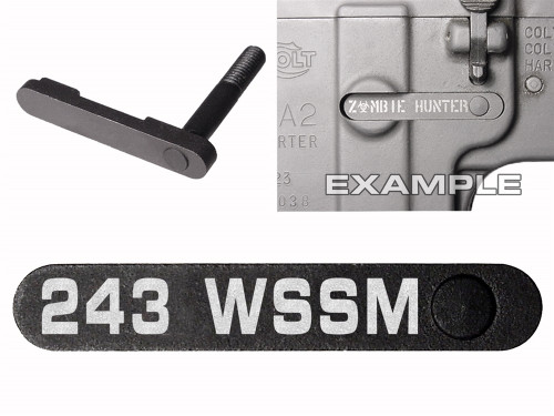 NDZ AR-15 SW 15-22 Black Magazine Catch 243 WSSM