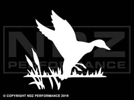 971 - Duck 2