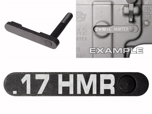 NDZ for AR-15 SW 15-22 Black Magazine Catch 17 HMR
