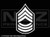 1761 - US Army Rank Master Sergeant Reverse