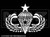 682 - Senior Airborne Jump Wings 1 Jump