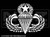 681 - Master Airborne Jump Wings 2