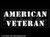 031 - American Veteran Text Stencil