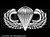 020 - Airborne Jump Wings