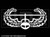 017 - US Army Air Assault Logo Solid