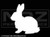 1992 - Rabbit Silhouette