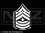 1765 - US Army Rank Sergeant Major Reverse