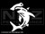 2096 - Hammerhead Shark