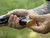 NDZ for Glock 43X, 48 Aspis Cut Combo Kit - Lifestyle Photo 3