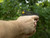 NDZ for Glock 43X, 48 Aspis Cut Combo Kit - Lifestyle Photo 1