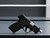True Precision Smith & Wesson M&P Shield Barrel - On the Gun 1