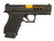NDZ for PSA Dagger T.R.O.I. Slide with RMR Cut - On the Gun 1