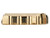 NDZ for Sig P365 X Macro Fuse Magazine Plate, Brass - Side View