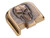 NDZ for PSA Dagger Micro 3D NDZ Skull Rear Slide Plate, Brass - Angled View Front