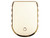 NDZ for Springfield Echelon 17 Round Magazine Plate, Brass - Bottom View
