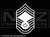 1729 - US Air Force Rank Chief Master Sergeant Rank