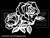 2082 - Two Roses
