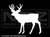 1343 - Deer Silhouette 5