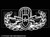 1933 - US Senior EOD Badge