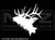 936 - Elk Head Silhouette
